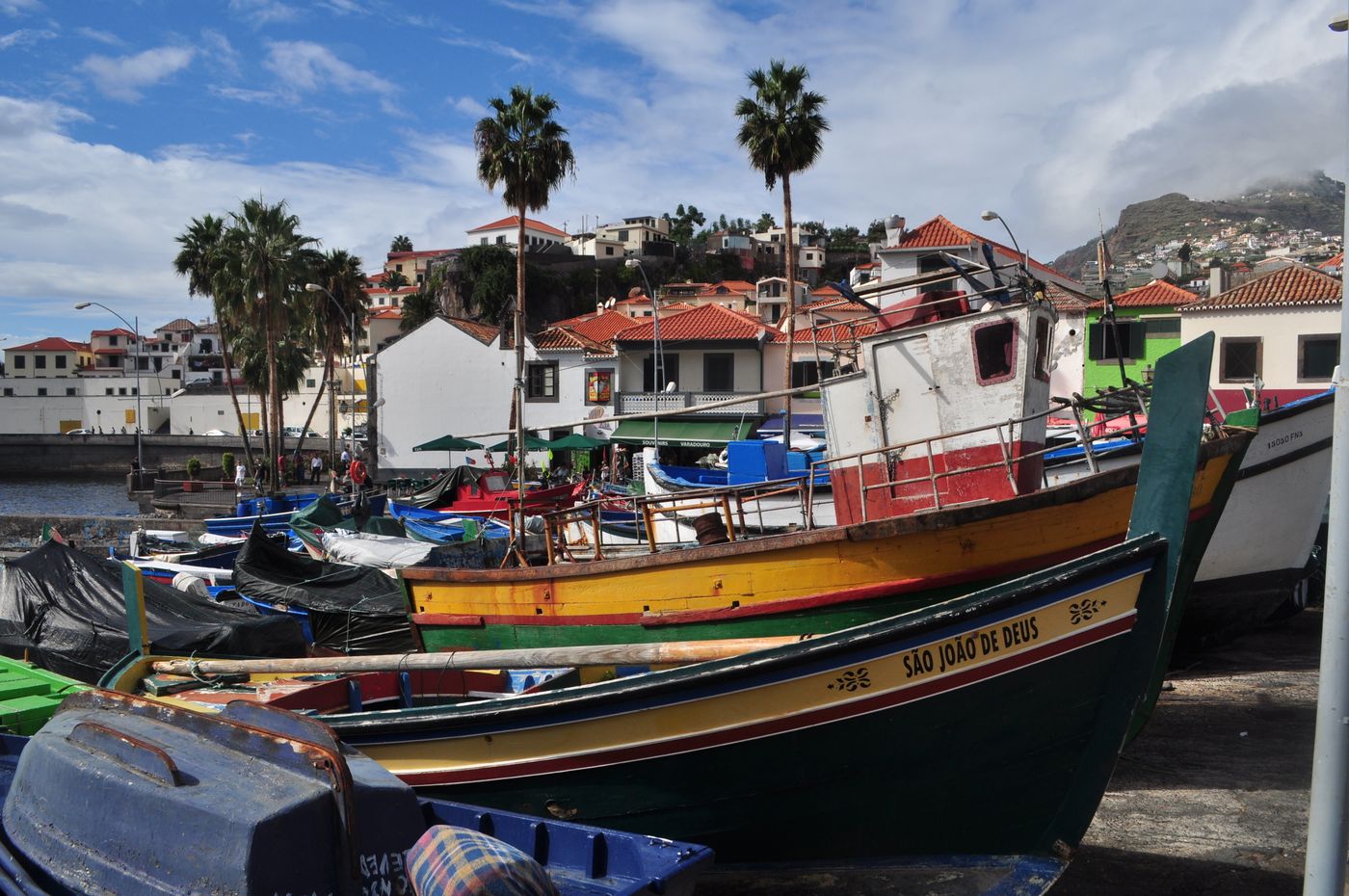 Brightly painted wooden fishing boats hauled onto the harbour at Câmara de Lobos, with red-roofed houses and palm trees rising behind