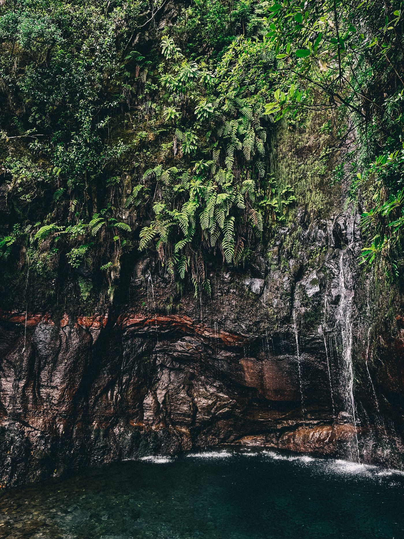 A fern-draped, dripping rock wall with thin trickles of water running down into a dark green pool below