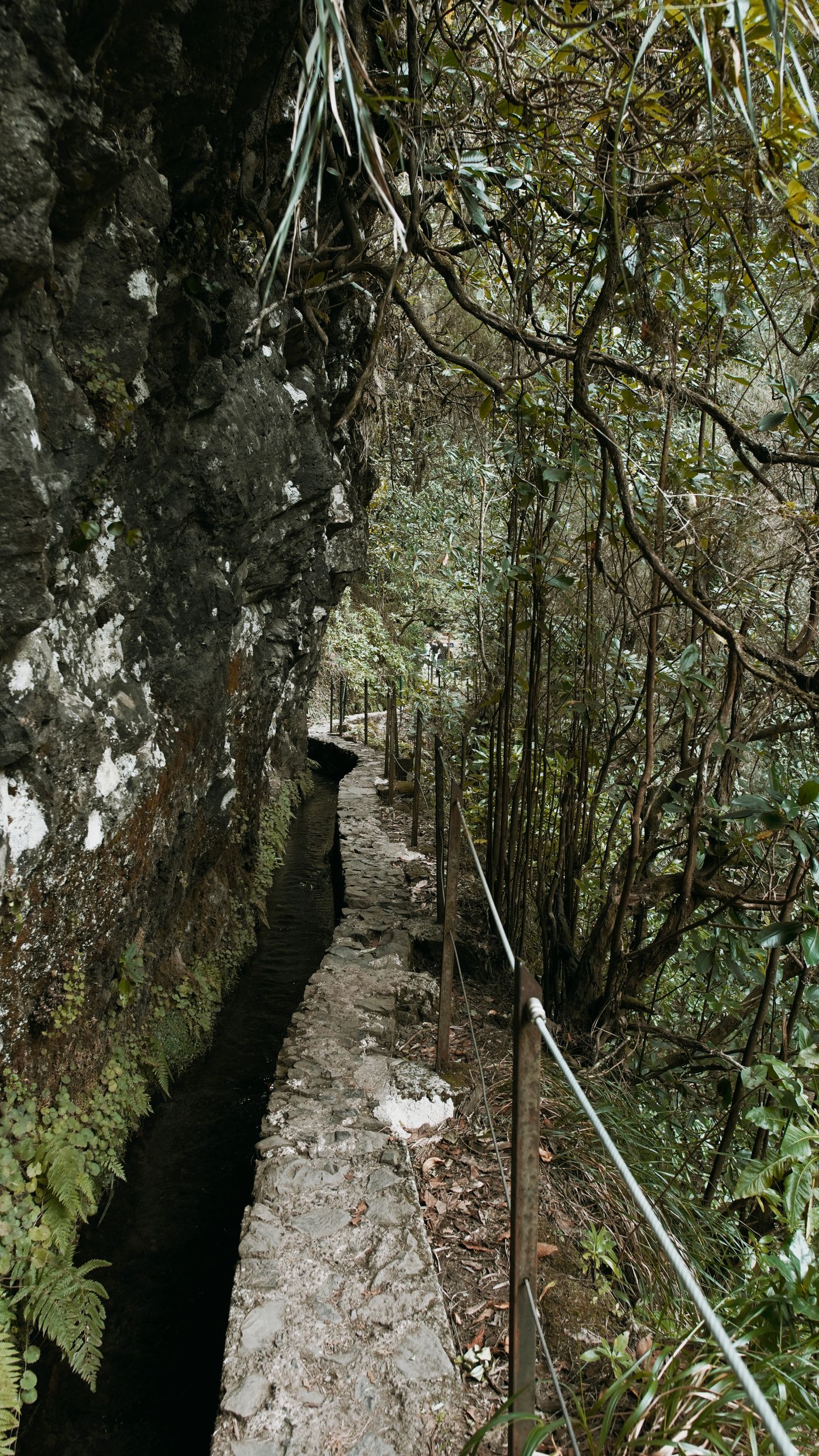 A narrow levada path traced along a rock cliff face, the water channel running beside it and a rope handrail on the outer edge above a forested drop