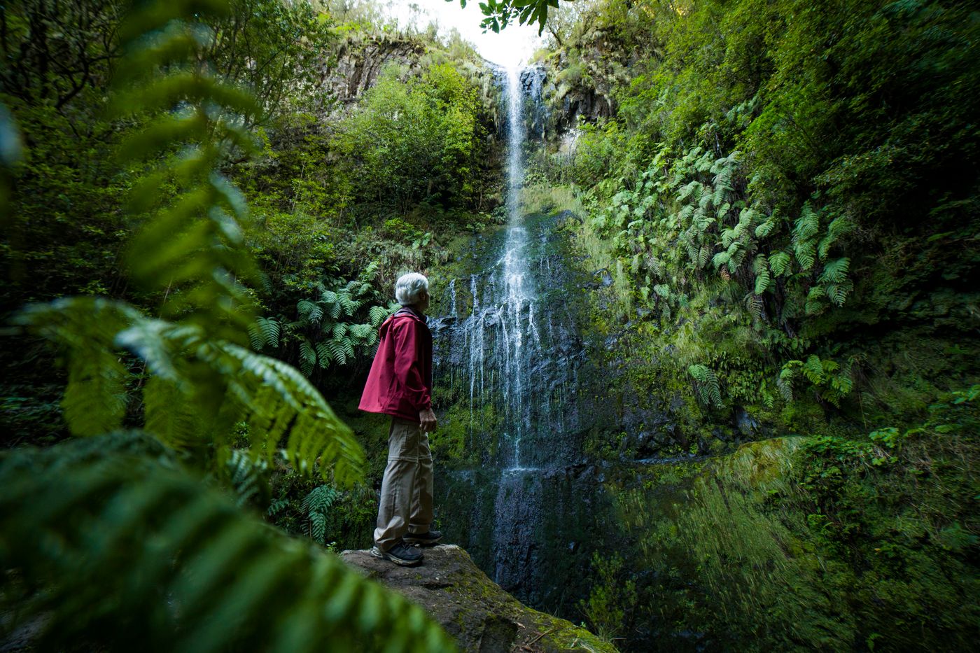 A levada path along a green cliff leading to a waterfall