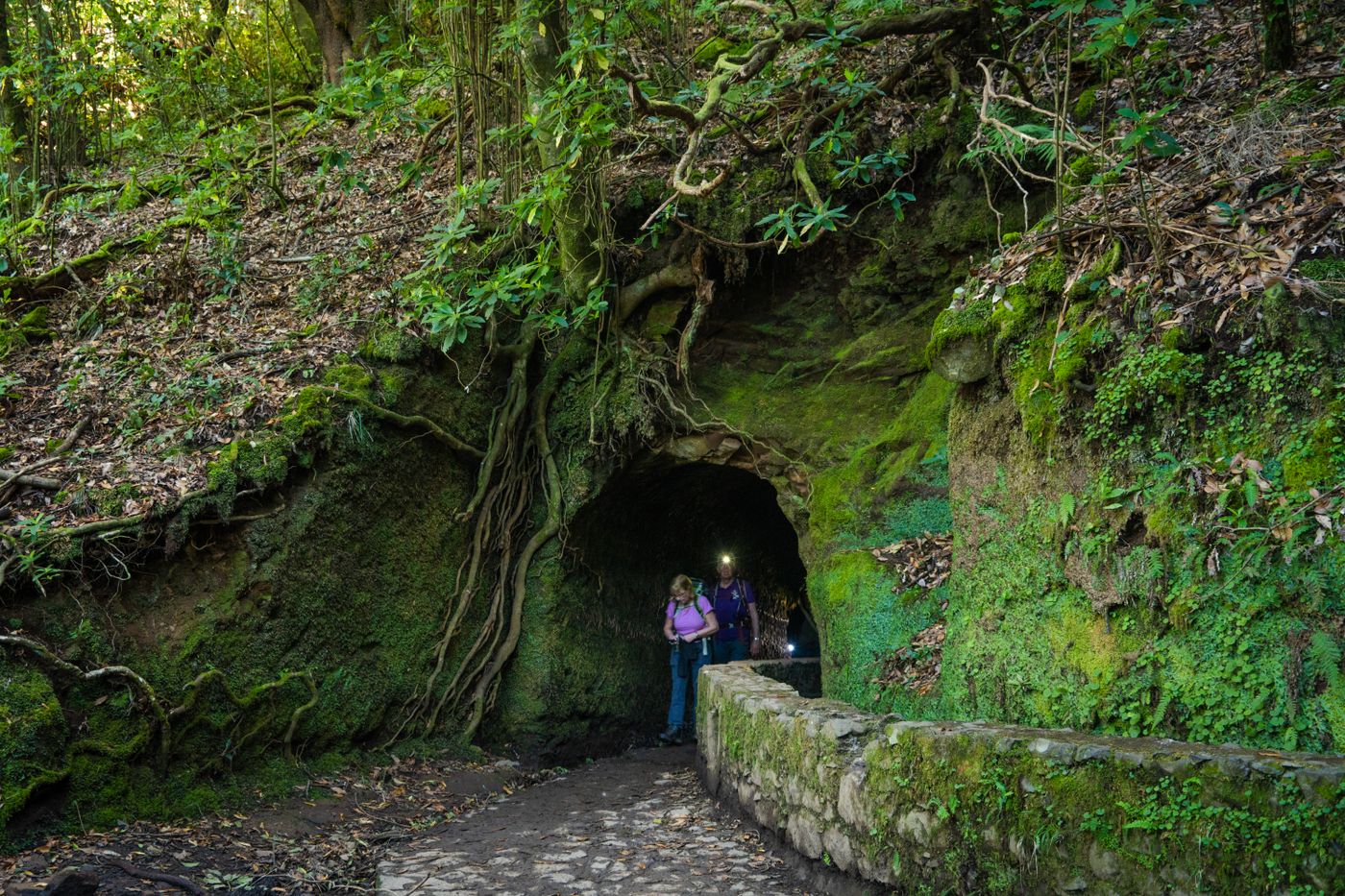 A narrow levada water channel running beside a walking path